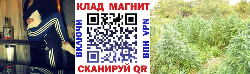 Купить наркотики цена Ковылкино Альфа ПВП  Канабис  COCAIN 